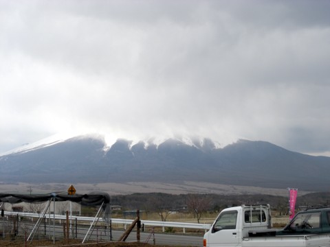 11いちご狩り富士山曇.jpg