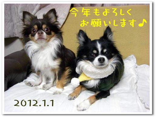 新年のご挨拶2012.jpg